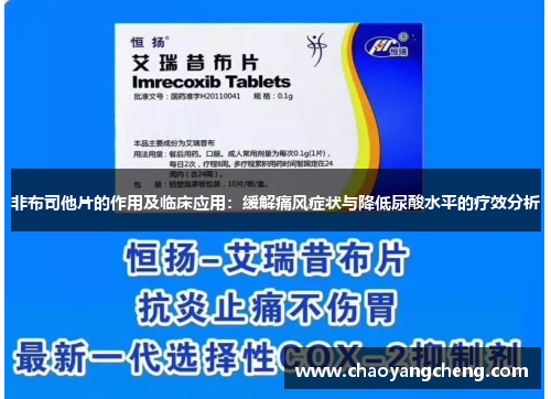 非布司他片的作用及临床应用：缓解痛风症状与降低尿酸水平的疗效分析